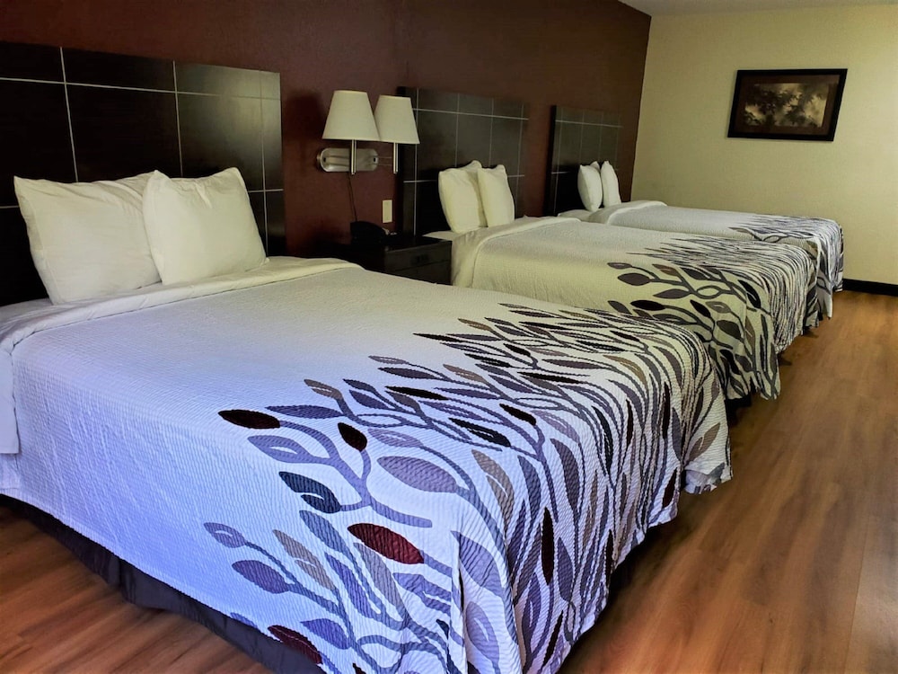 Deluxe Room, Non Smoking (3 Queen Beds) - Photo 3