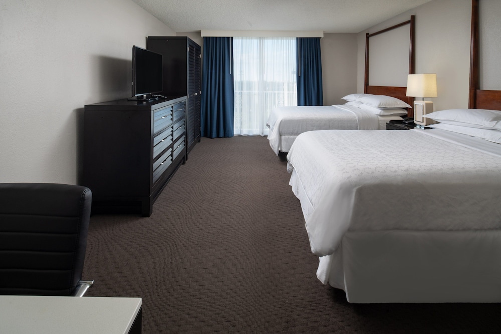 Suite, 1 Bedroom photo 3