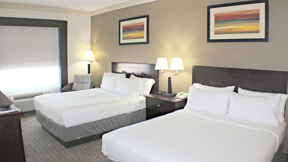 Suite, Multiple Beds photo 1