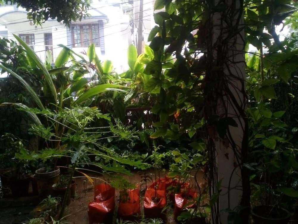 Double Room with Fan photo 3