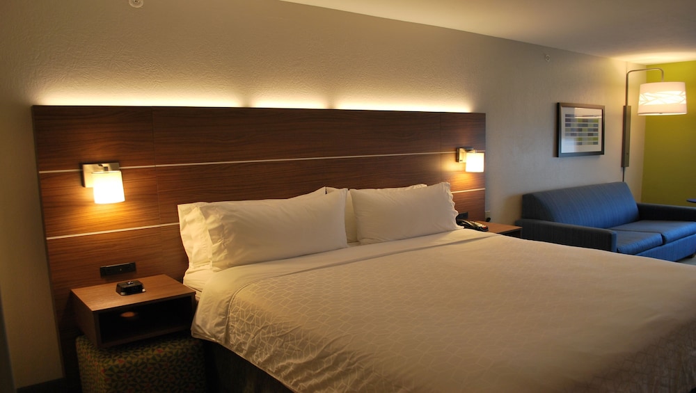 Standard Room, 1 King Bed with Sofa bed, Accessible (Mobility, Accessible Tub) - Photo 1