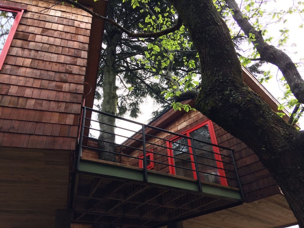 Standard Cabin, 1 Bedroom, Terrace photo 3