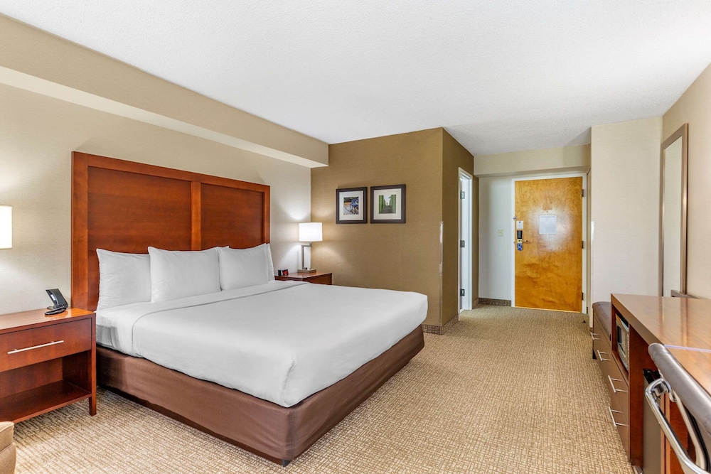 Standard Room, 1 King Bed, Non Smoking - Photo 4