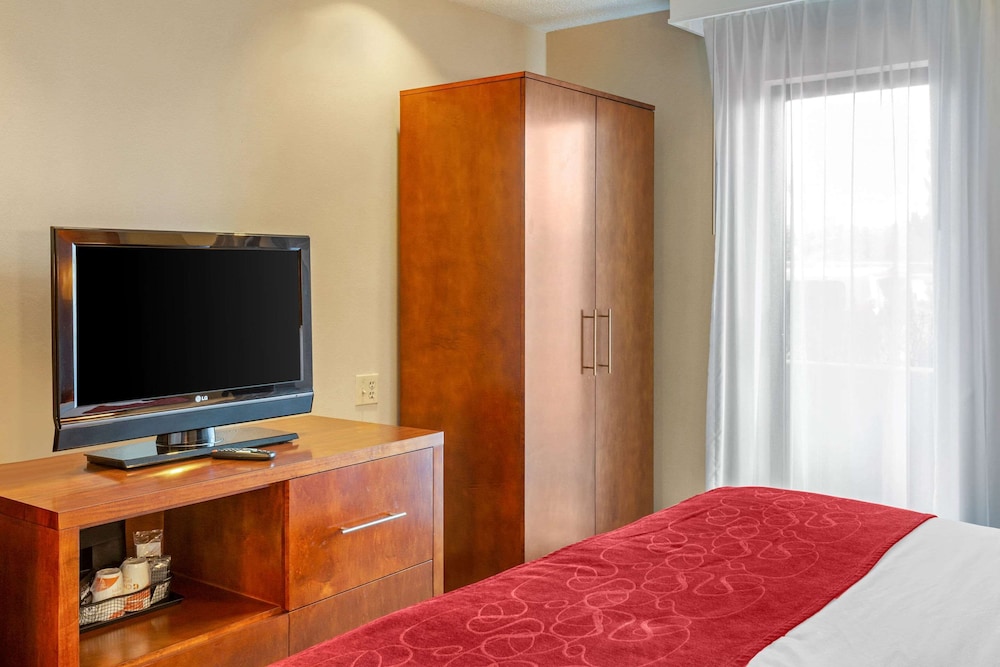 Suite, 1 King Bed with Sofa bed, Accessible, Non Smoking - Photo 2