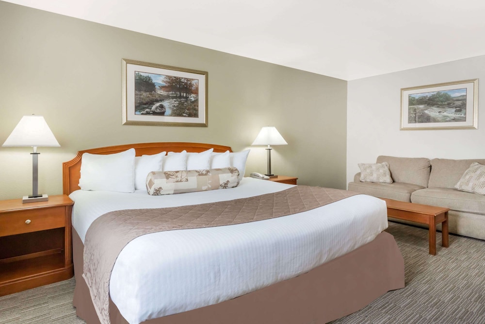 Room, 1 King Bed, Smoking - Photo 1
