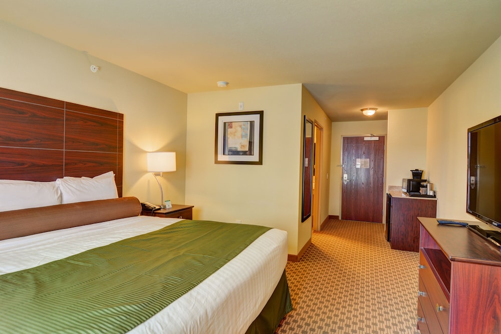 Accessible King Guestroom with Wheel-in Shower photo 1