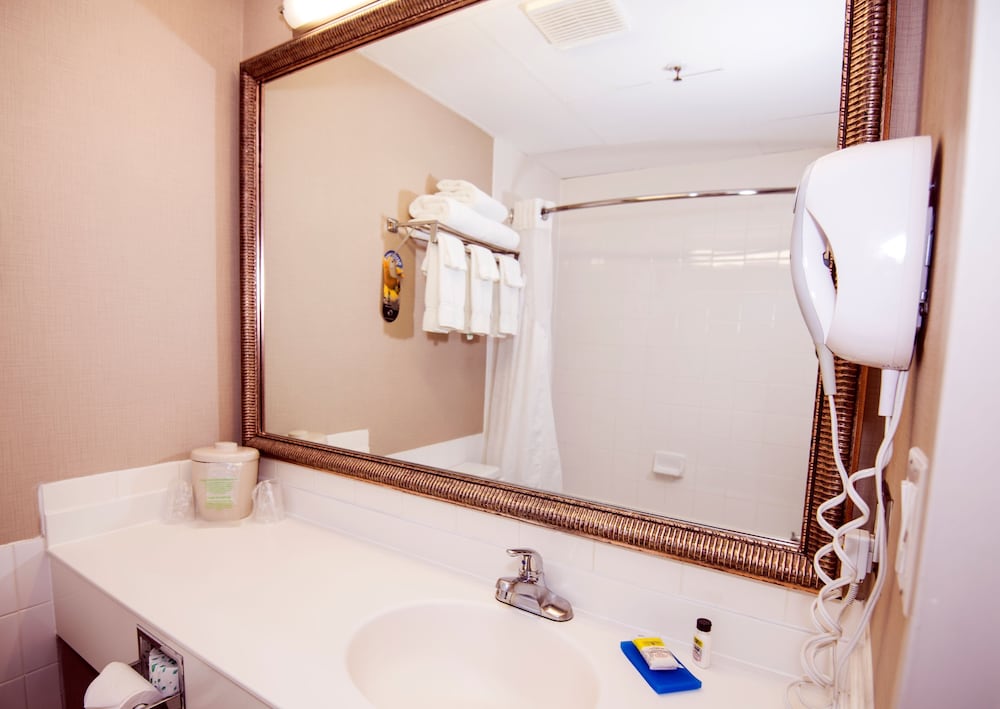 Suite, Multiple Beds - Photo 5