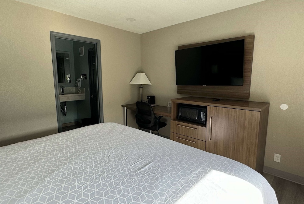 Room, 1 King Bed, Accessible, Non Smoking (Mobiliy, Shower w/Grab Bars)