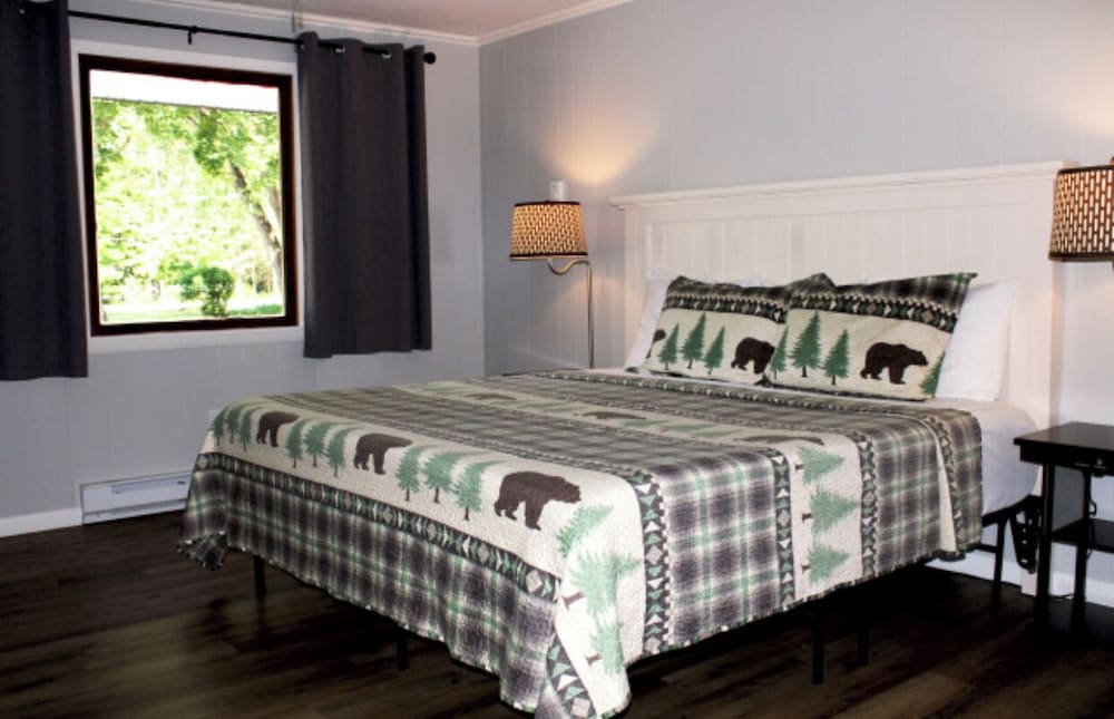 Room, 1 King Bed
