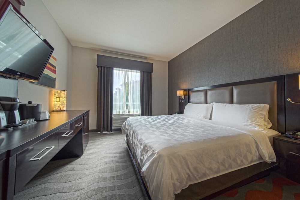 Standard Room, 1 King Bed, Accessible - Photo 7
