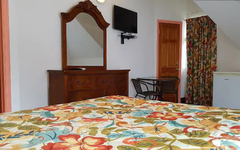 Deluxe Studio, 1 Queen Bed photo 3