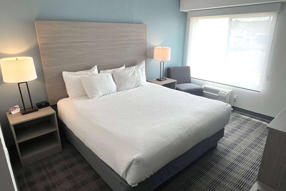 Room, 1 King Bed, Non Smoking - Photo 5