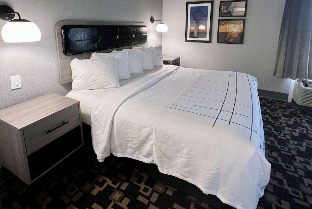 Suite, 1 King Bed, Non Smoking - Photo 10