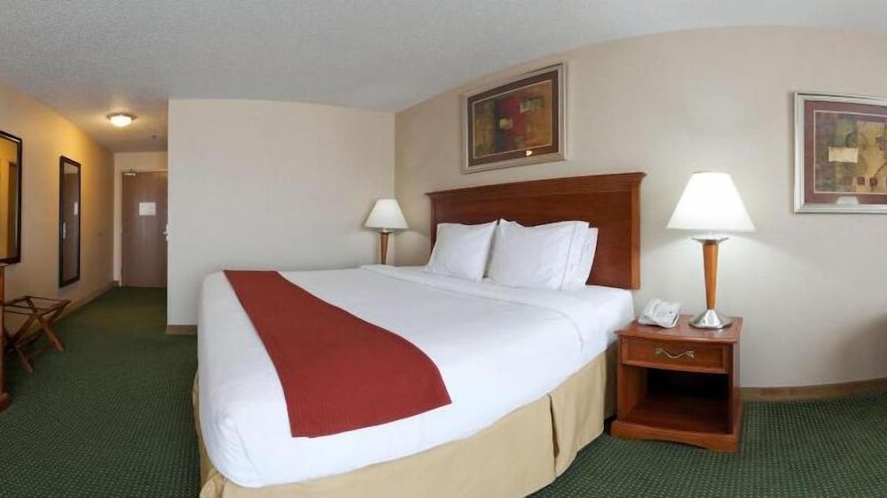Suite, 1 King Bed with Sofa bed photo 2