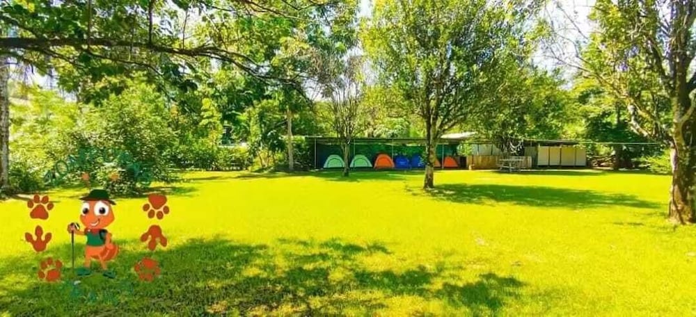 Standard Tent, Garden View