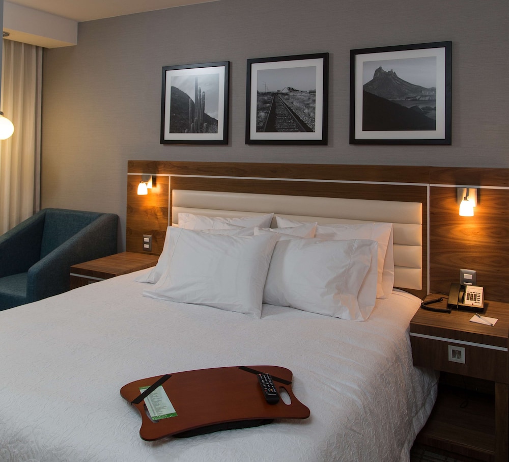 Room, 1 King Bed, Refrigerator