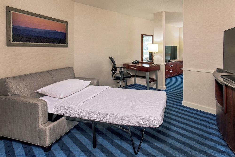 Studio, 1 King Bed With Sofa Bed (Mobility/Hearing Access, Roll-In Shwr) photo 3
