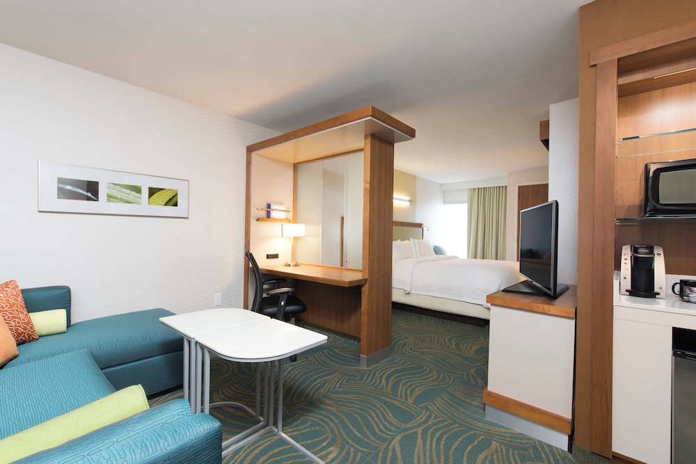 Suite, 1 King Bed with Sofa bed (Mobility/Hearing Access, Roll-In Shwr) photo 3