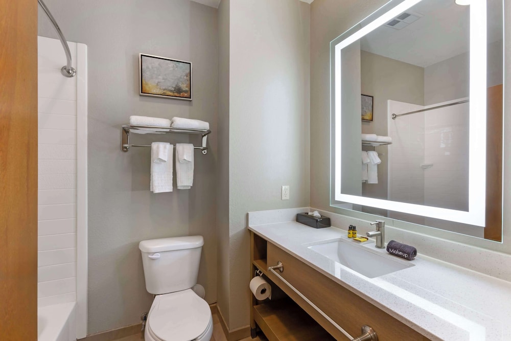 Standard Room, 1 King Bed, Non Smoking, Refrigerator & Microwave (with Sofabed) - Photo 6