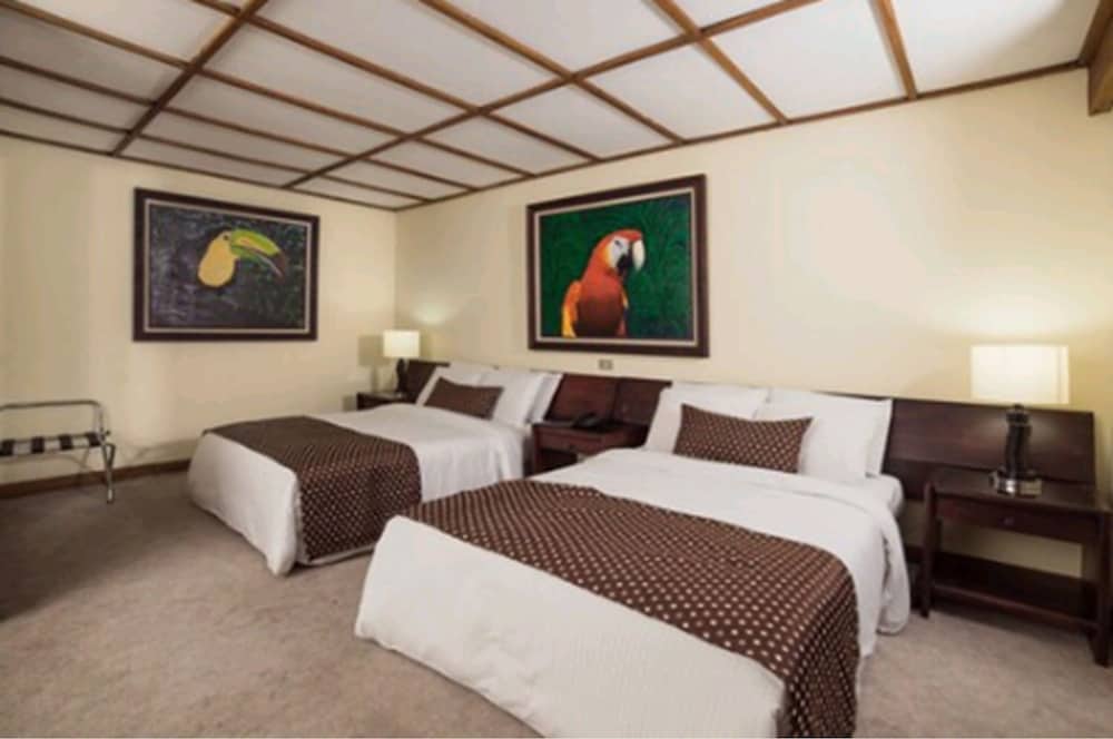 Superior Room photo 3