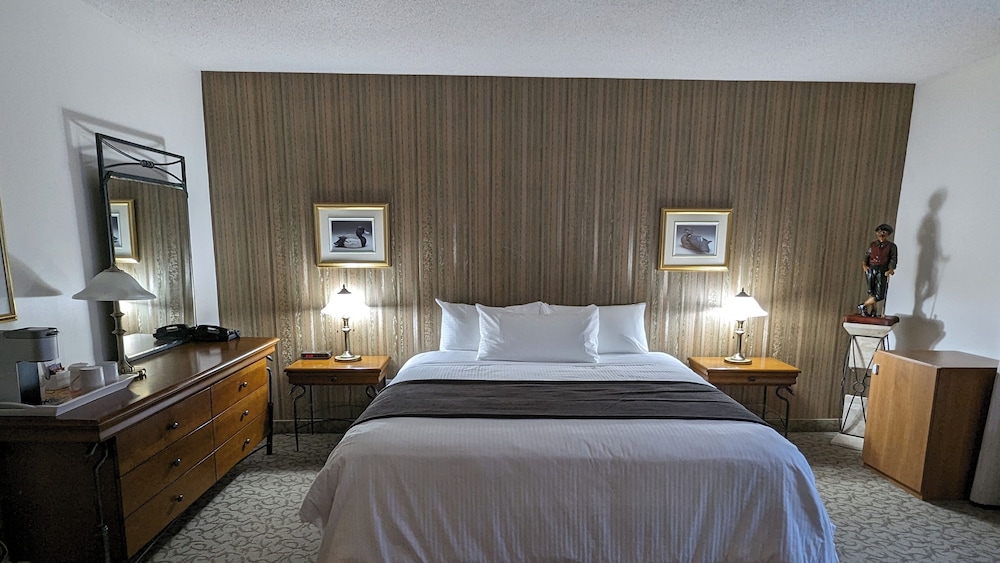 Superior Room, 1 King Bed photo 1