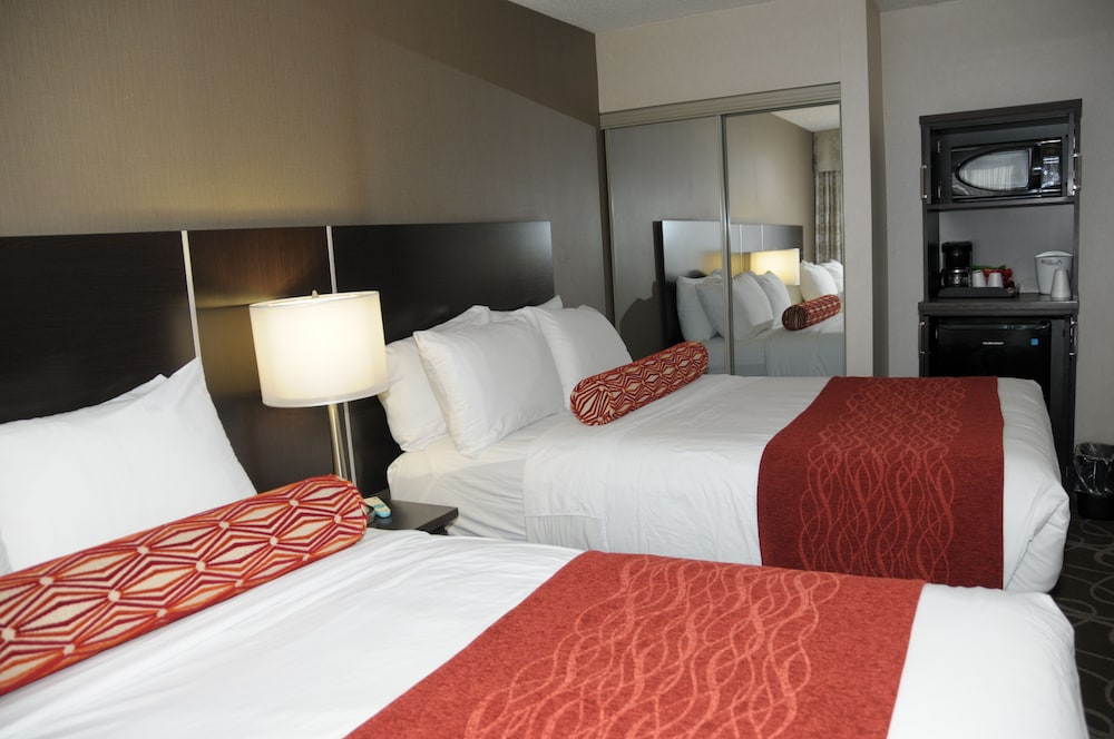 Room, 2 Double Beds photo 3