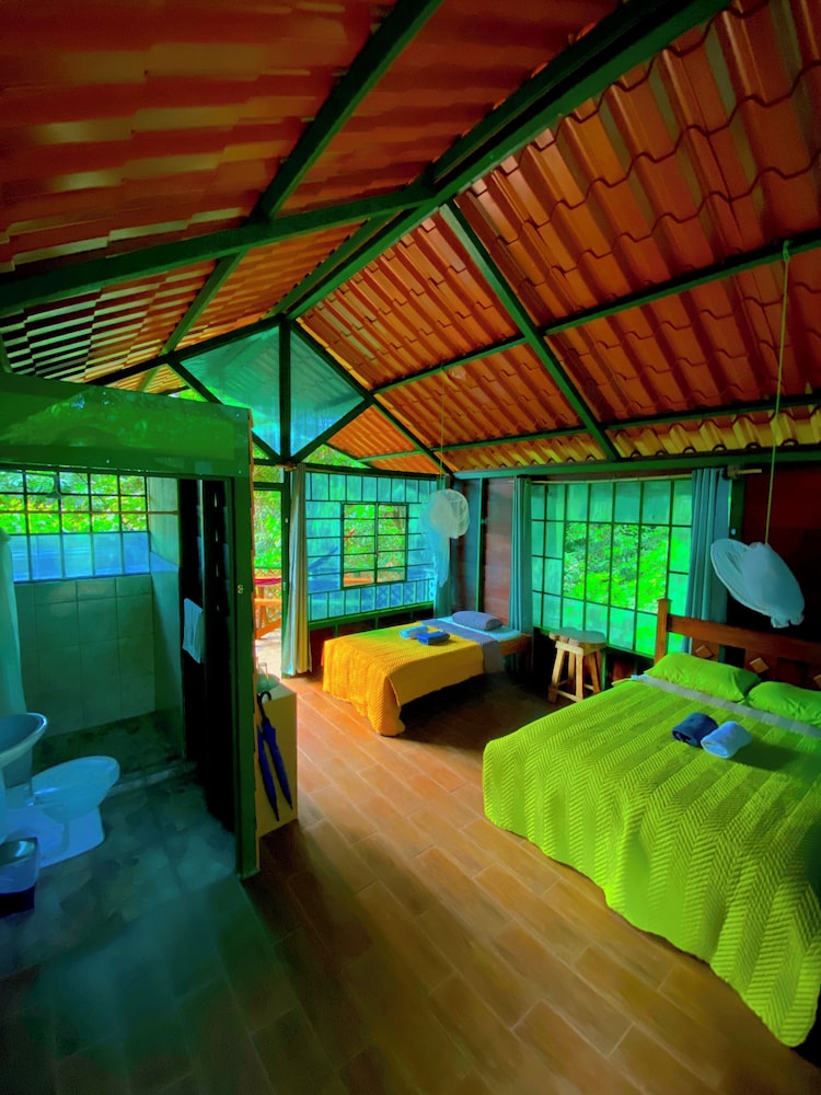Standard Room, Mountain View photo 2