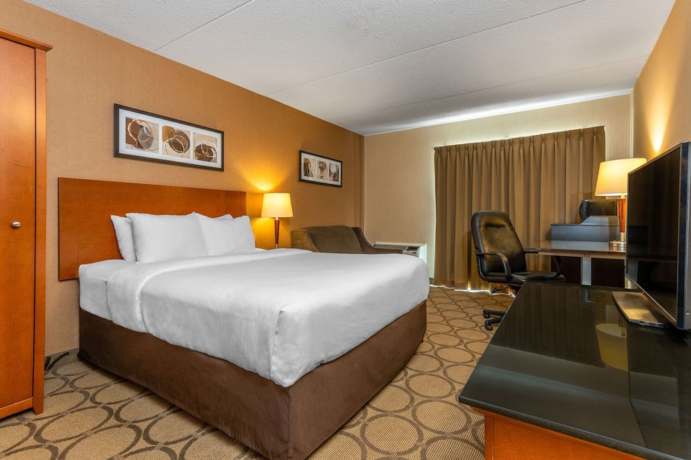 Standard 1 Queen bed w/sofabed Non-Smoking Ground floor - Photo 1