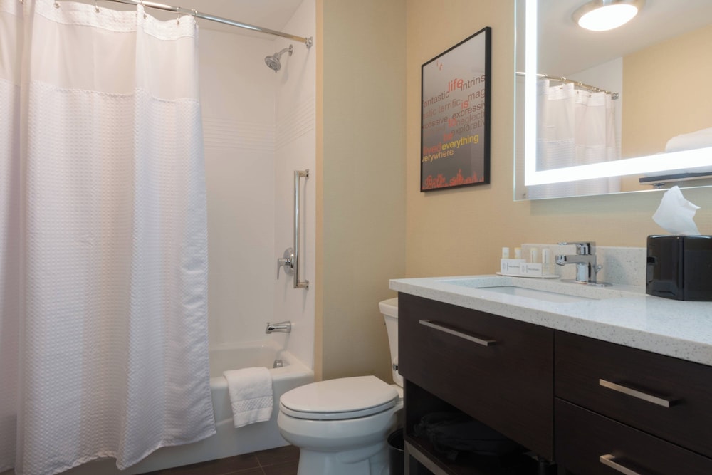 Suite, 1 Bedroom (Hearing Accessible) photo 3