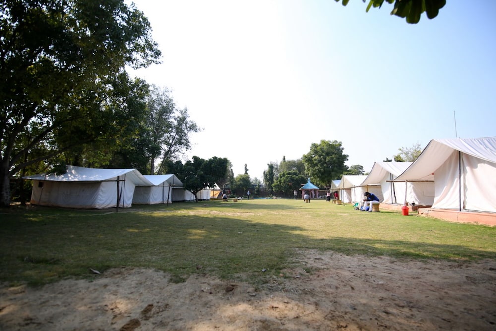 Deluxe Tent photo 3