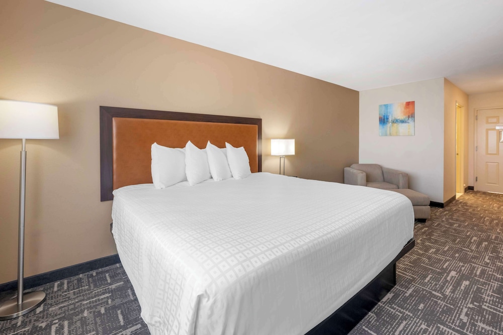 Standard Room, 1 King Bed, Non Smoking, Refrigerator & Microwave photo 3