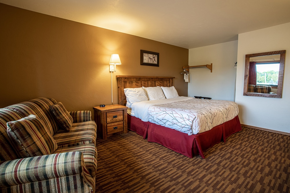 Lodge King Bed (Dog Friendly) photo 3