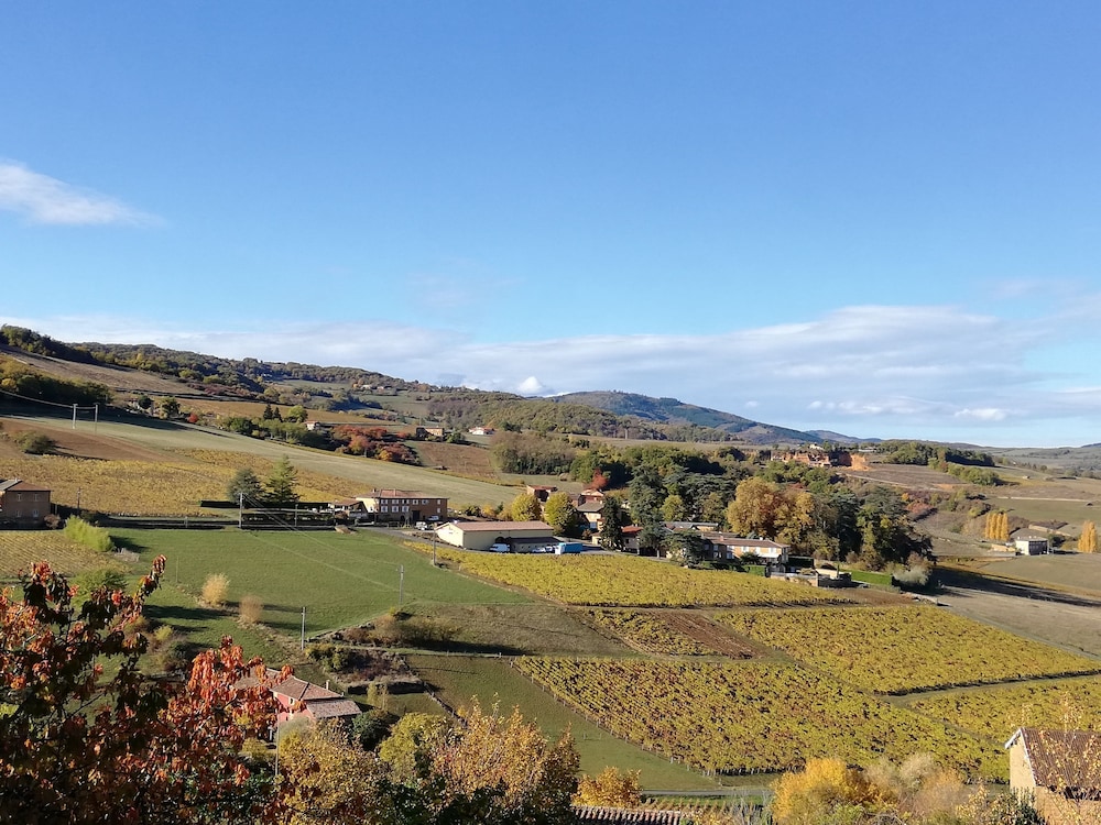Deluxe Suite, Vineyard View photo 3