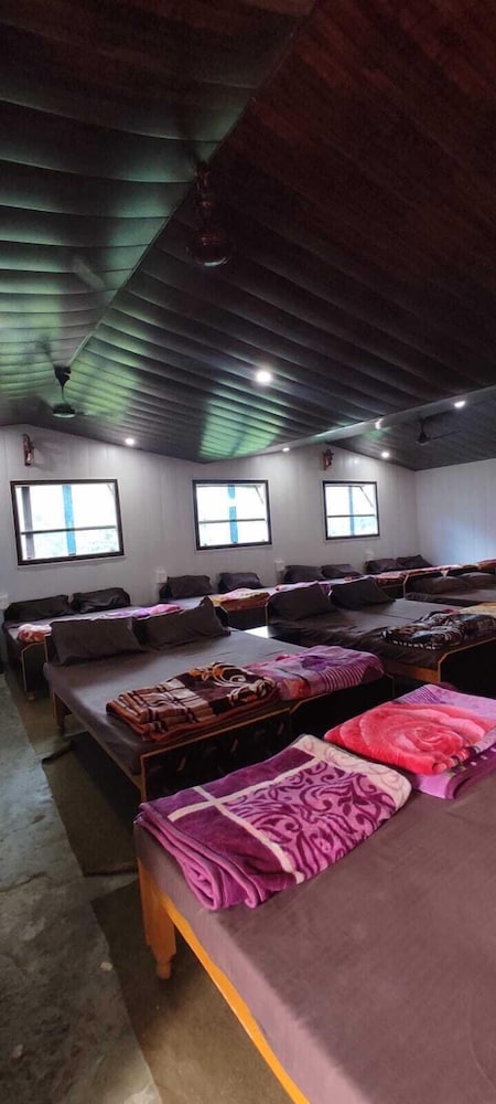 Shared Dormitory photo 3