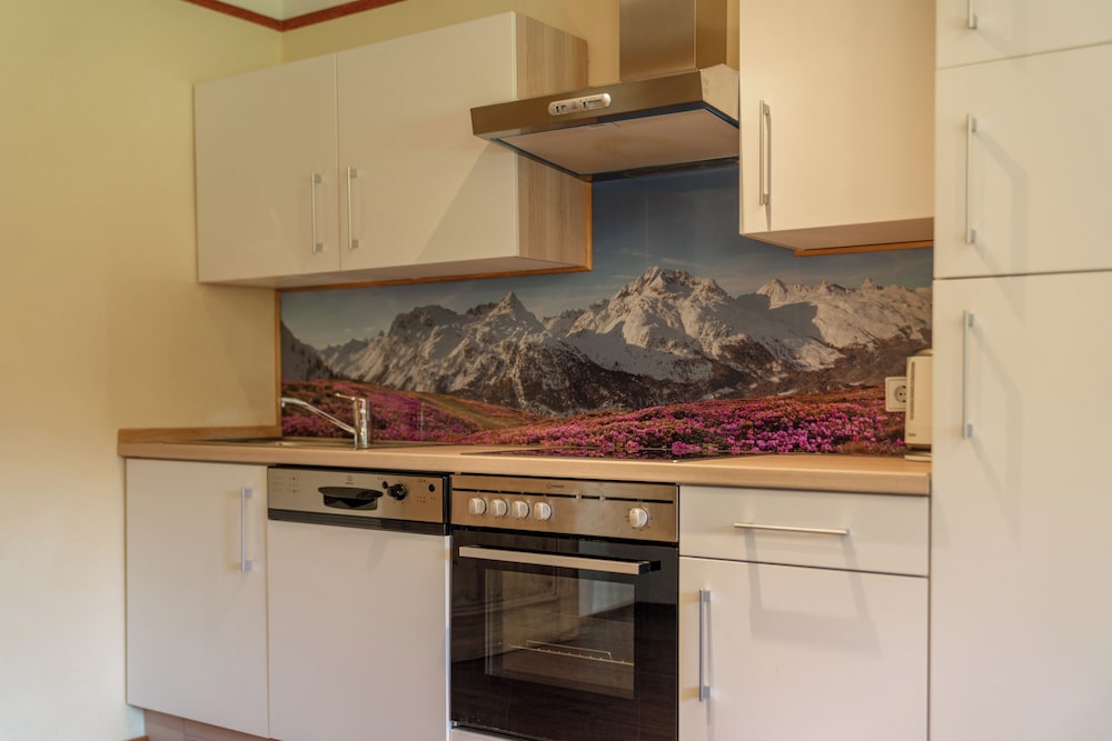 Classic Apartment, 1 Bedroom, Balcony photo 3