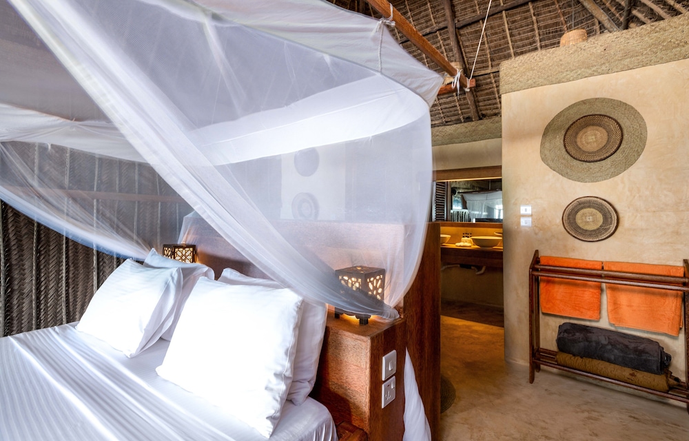 Room, 1 King Bed, Beachfront (48 m2) photo 3