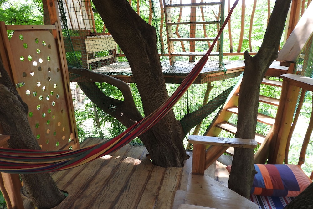Deluxe Tree House photo 3