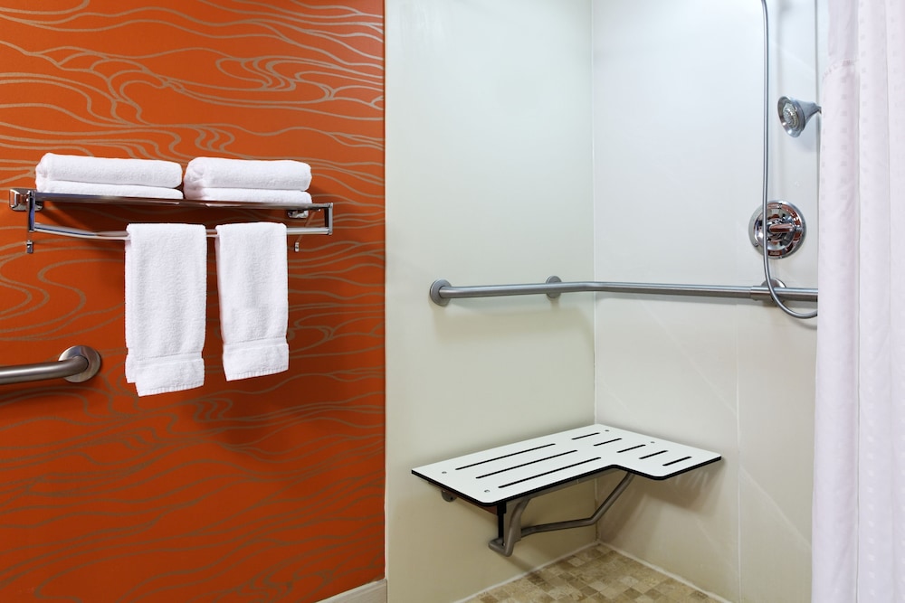 Standard Room, 1 King Bed, Roll-in Shower (Mobility Accessible) - Photo 6
