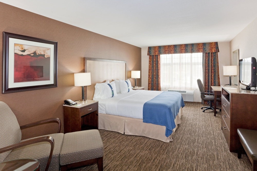 Suite, 1 King Bed, Accessible