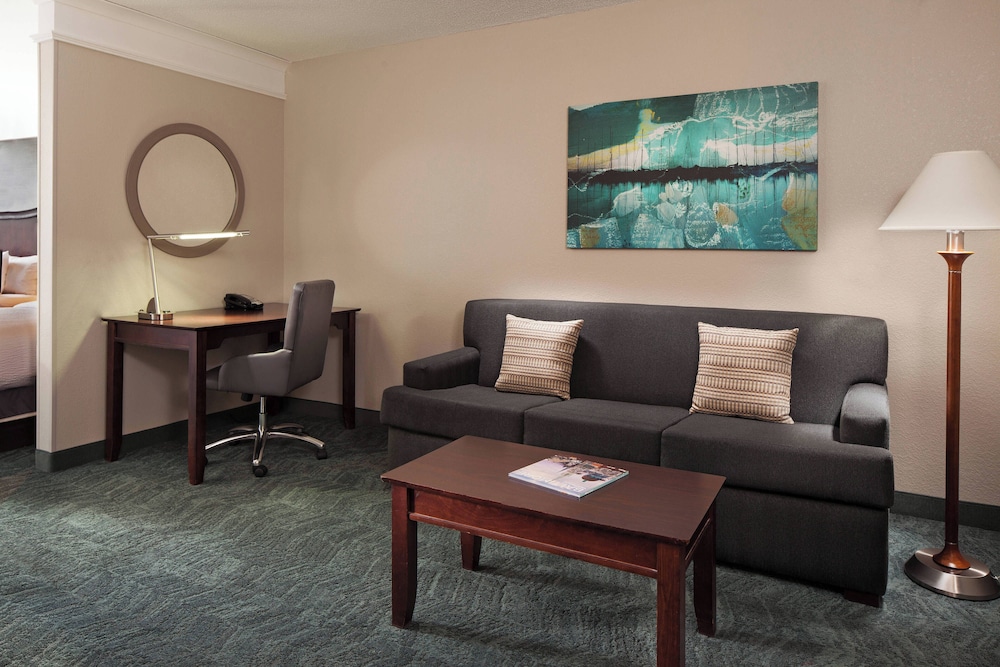 Suite, 1 Bedroom - Photo 4