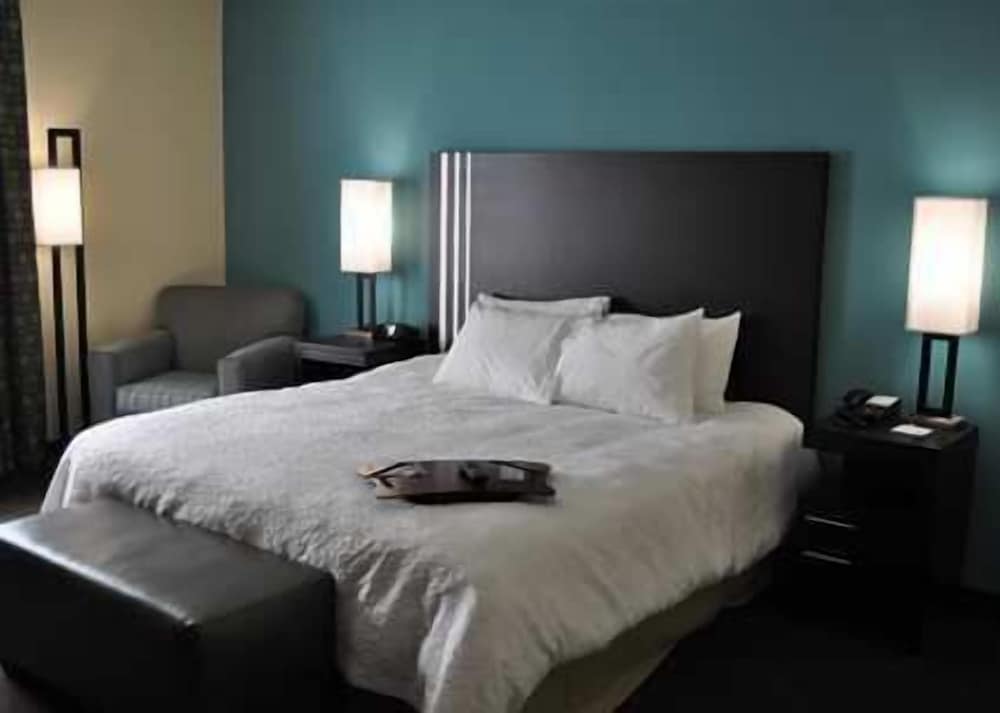 Room, 1 King Bed, Accessible, Non Smoking