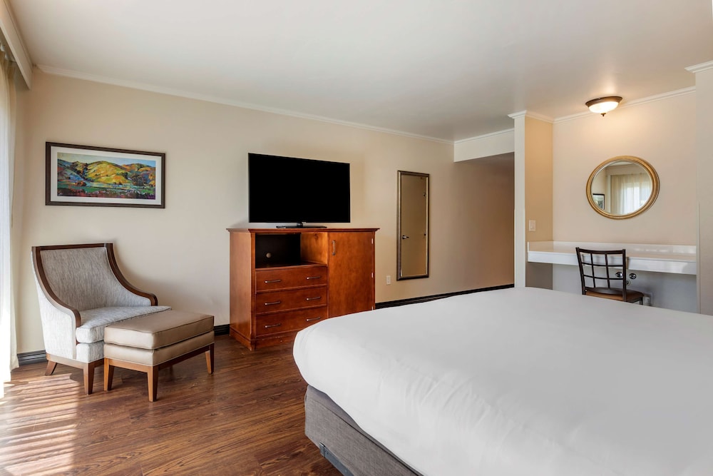 Standard Room, 1 King Bed, Accessible (View) photo 2