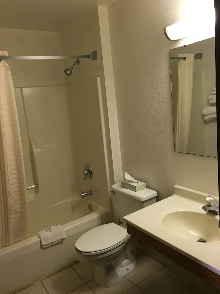 Studio Suite, Multiple Beds, Non Smoking - Photo 14