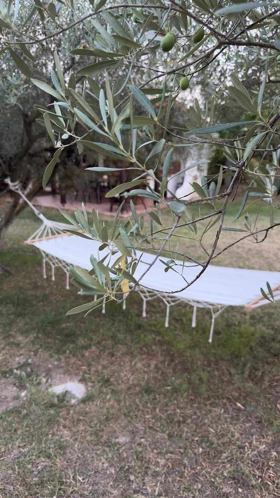 Zeusplace Olympus Olive Country House 4, Bilde 24