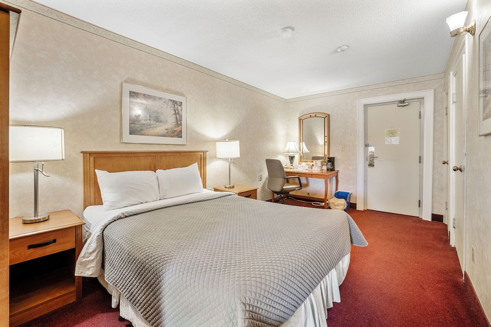 Deluxe Quadruple Room photo 1