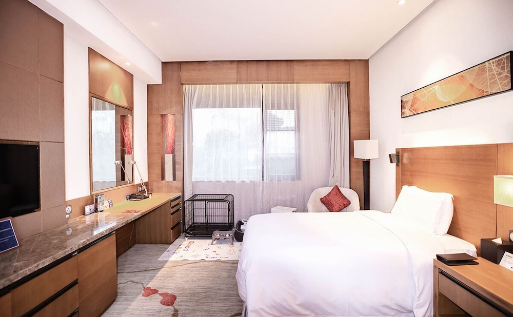 Room, 1 King Bed (Pet-Friendly) photo 2