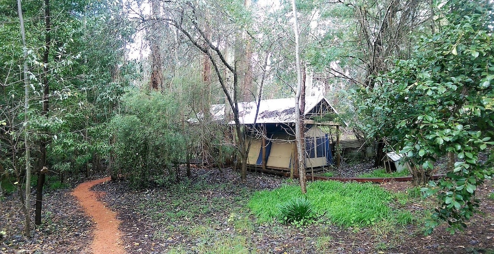Luxury Safari Tent photo 1