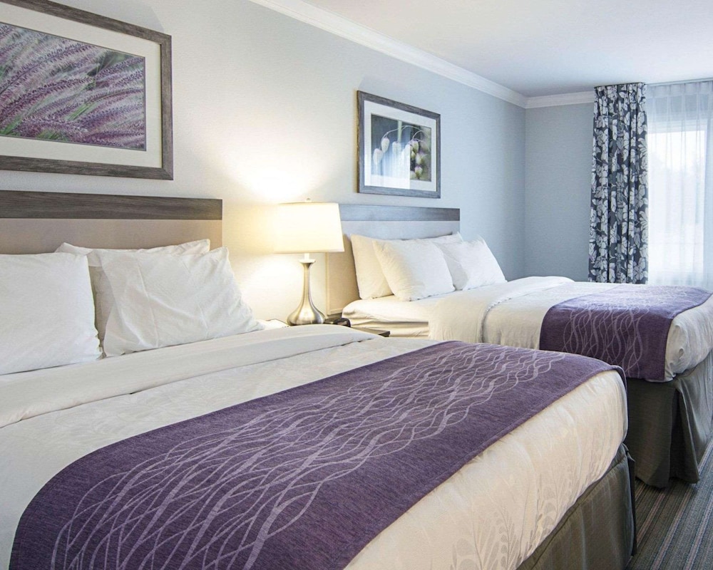 Standard Room, 2 Queen Beds, Non Smoking - Photo 5
