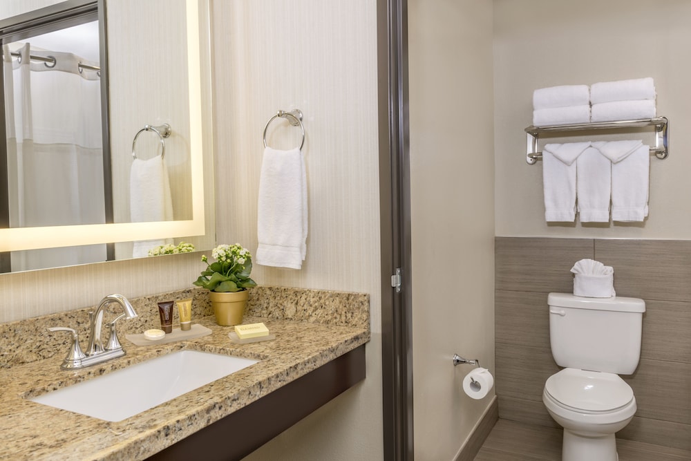 King Studio Suite photo 3