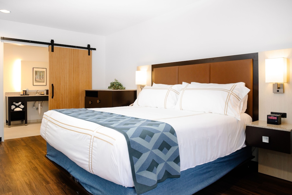 Premium Room, 1 King Bed, Accessible photo 1